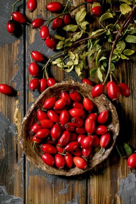 ​Rosehip Oil – Nature’s Secret to Radiant Skin