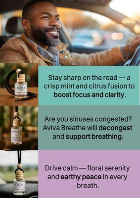 Buy 2 car diffusers get 1 FREE