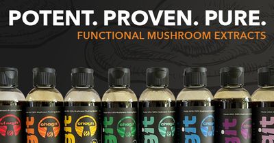CHAGIT: Functional Mushrooms