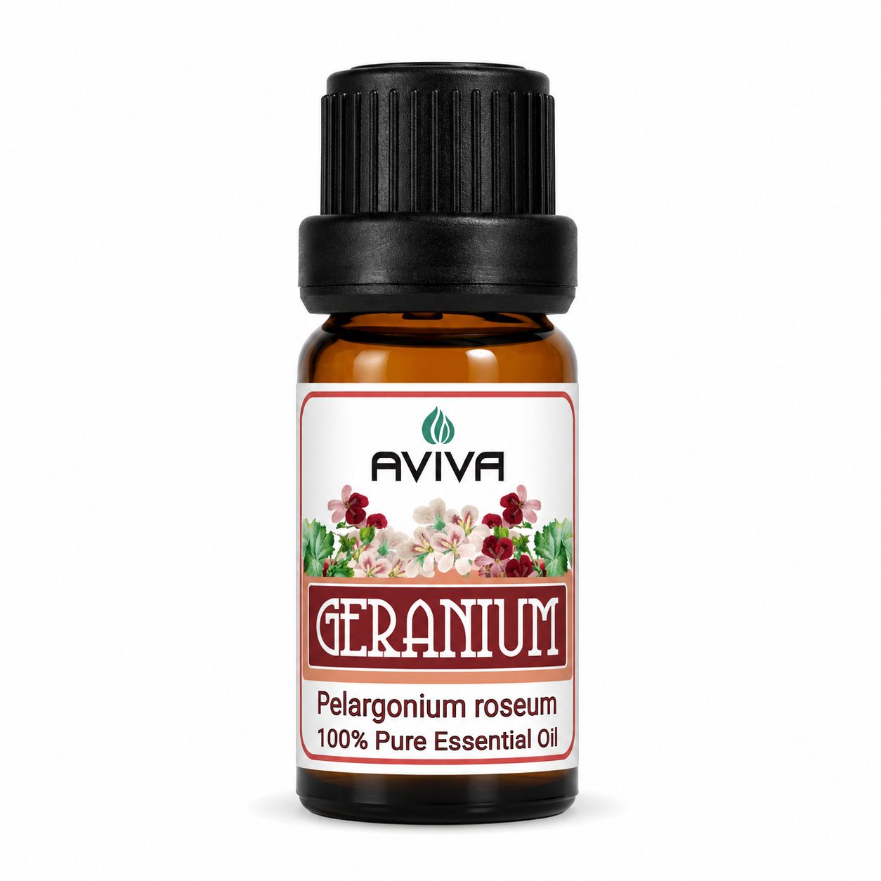 Geranium