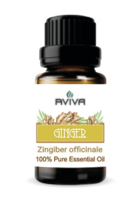 Ginger