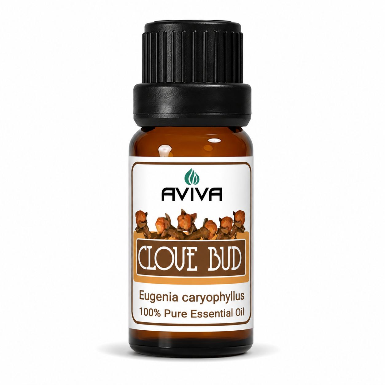 Clove Bud