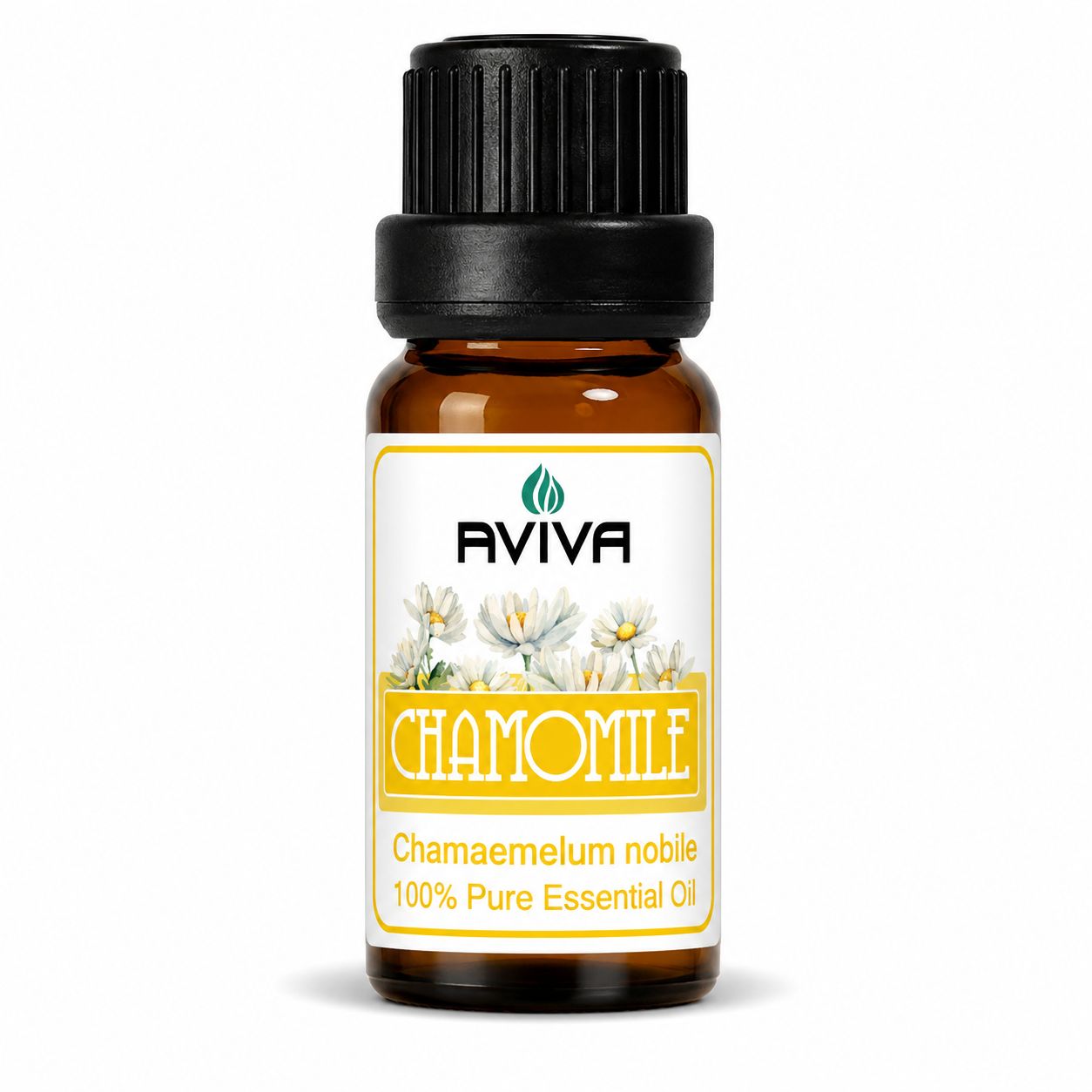 Chamomile Roman