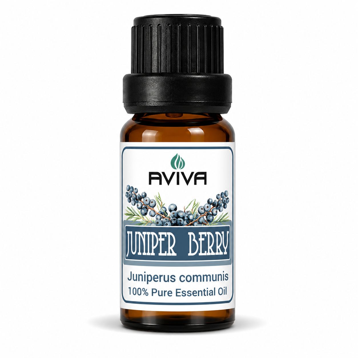 Juniper Berry