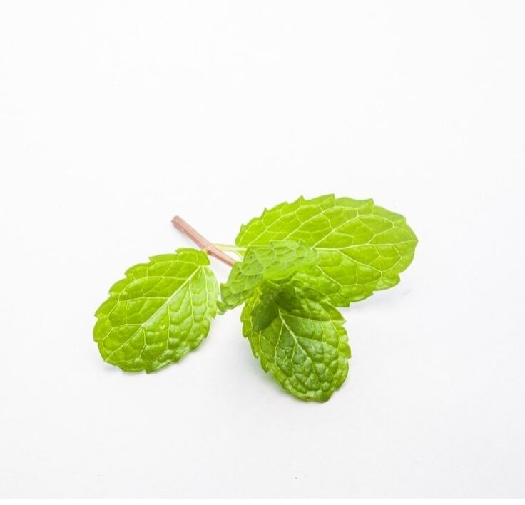 Spearmint Oil 10ml
