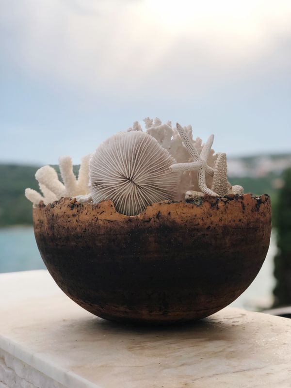 Sea Moss Diffuser Refill (100ml)