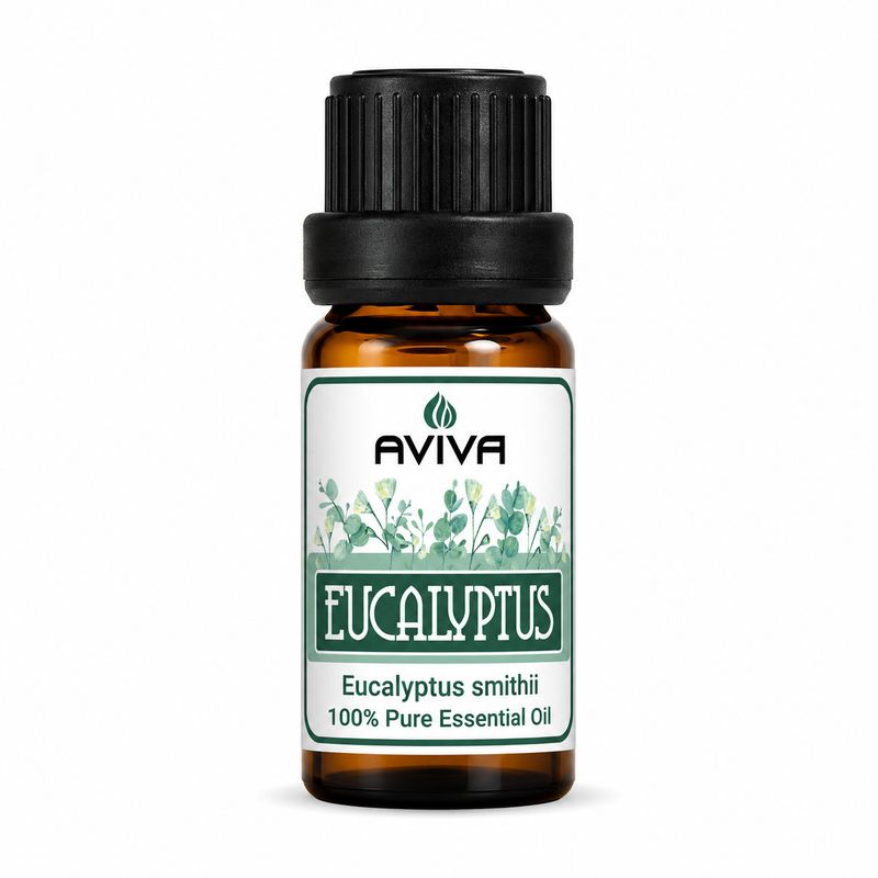 Eucalyptus Smithii Bulk
