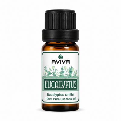 Eucalyptus Smithii Bulk