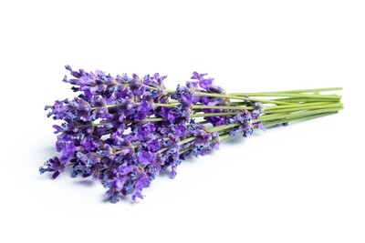Lavender Bulk