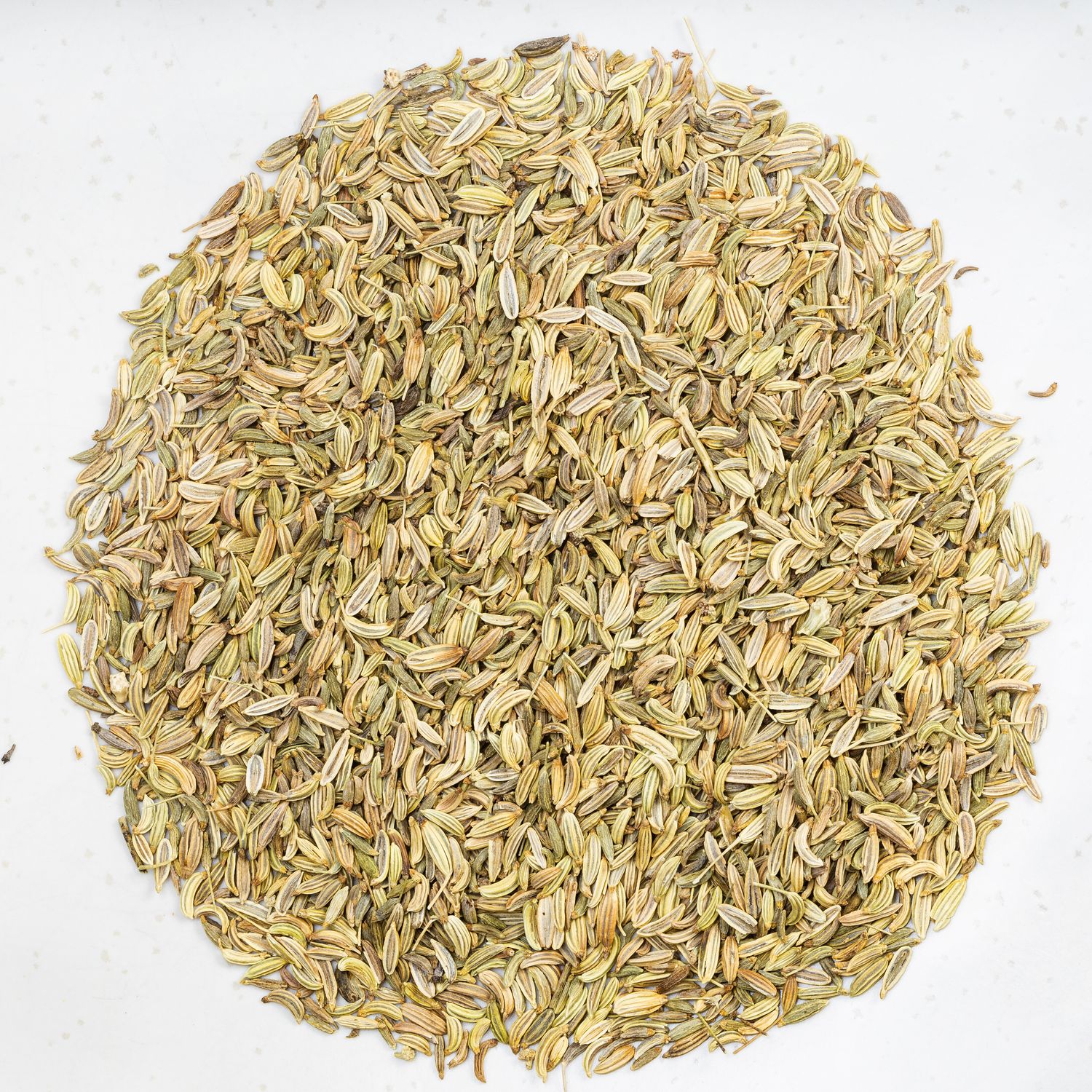 Fennel Seeds