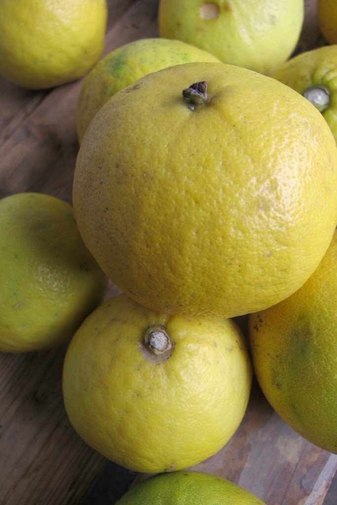 Frutto di bergamotto bio