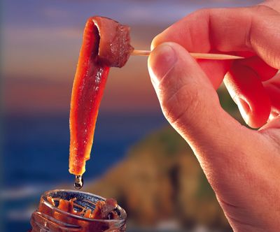 FILETTI DI ACCIUGHE DEL MAR CANTABRICO 50 GR. IN OLIO DI GIRASOLE - CARTONE DA 50 PEZZI - Anchovies filets from Cantabric in Sunflower oil - 24 CANS OF 550 GR. EACH - BOX WITH 50 ITEMS