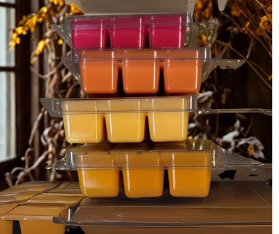 Fall Festival Clamshell Wax Melt