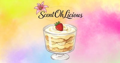 This Cake Is Bananas