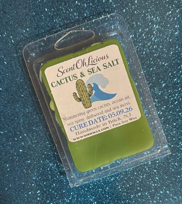 🌵 Cactus and Sea Salt Clamshell