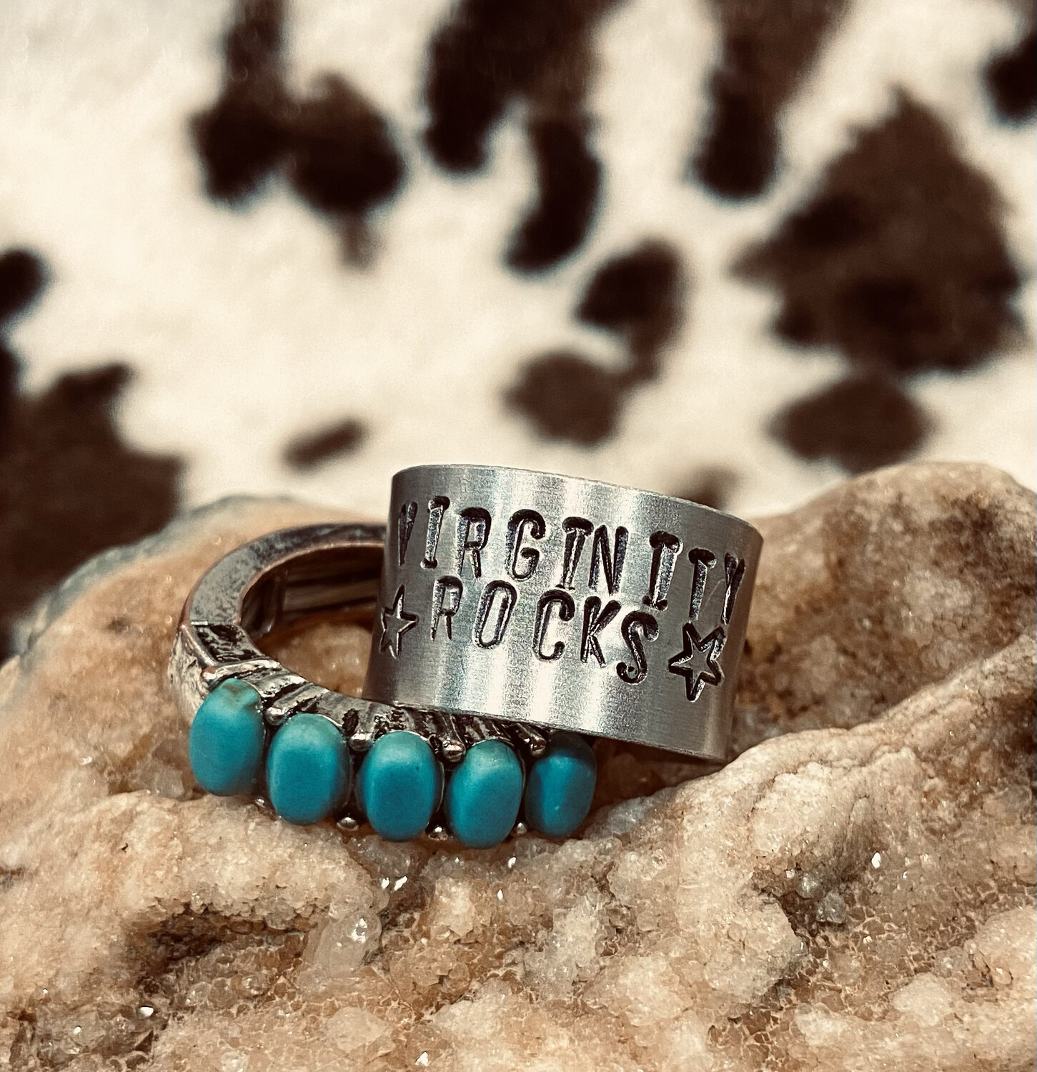 Virginity Rocks Band