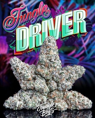 Jungle Driver