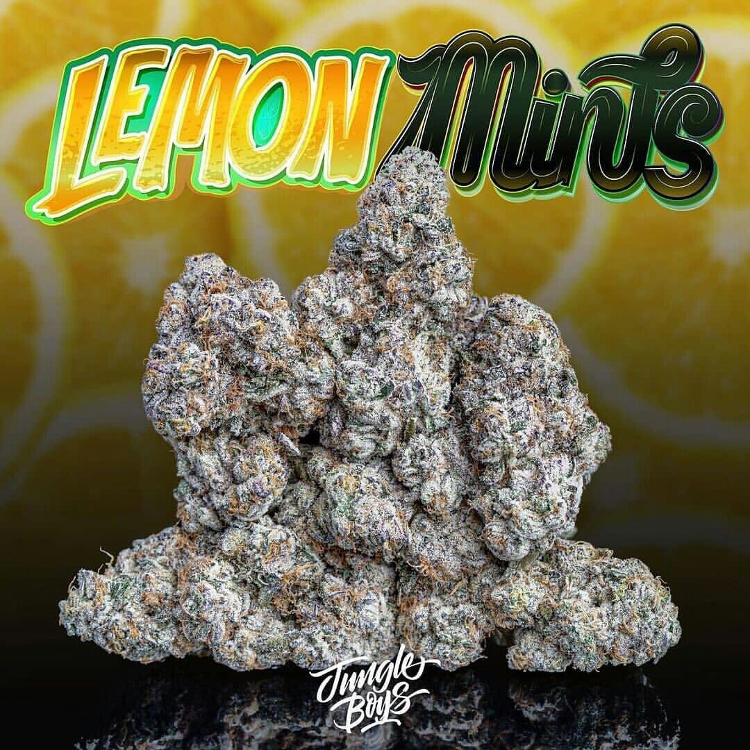 Lemon mints