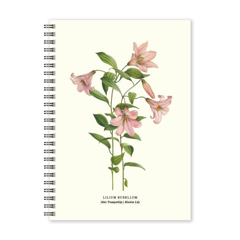 Maiden Lily