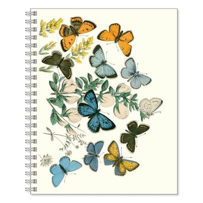 Butterflies