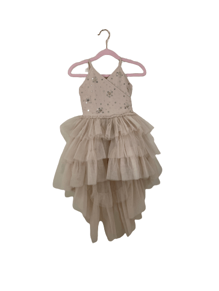Ballet Pink High Low Tulle dress