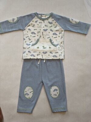 Baby Boy's Dino Print Pants Set