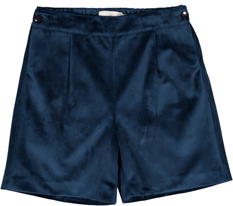 Mysterious Blue Velvet Shorts