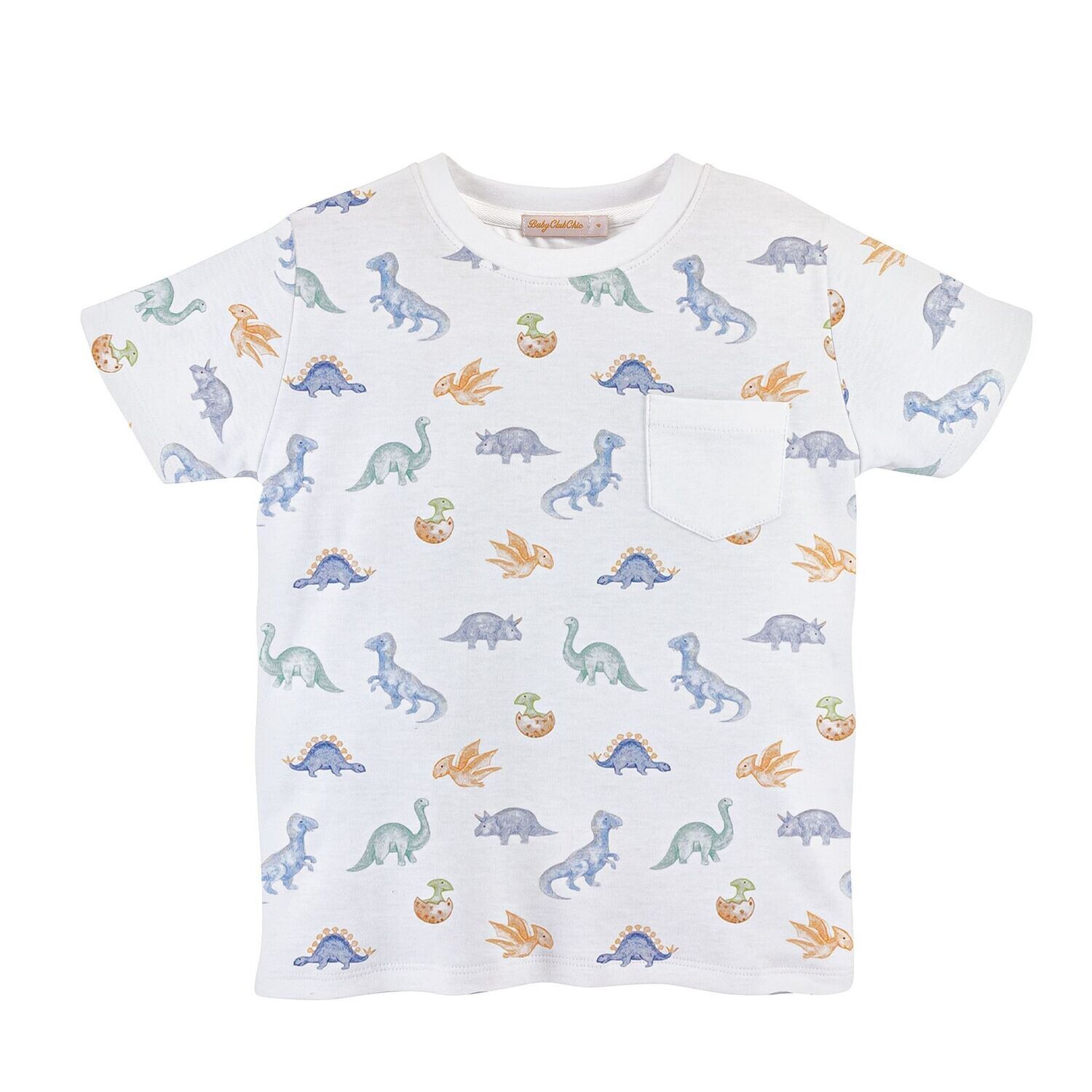 Baby Dinosaur Toddler Tee