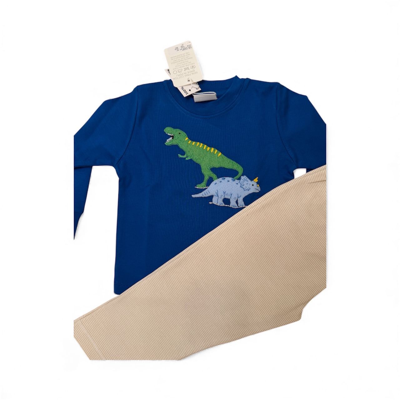 Dino Friends Pant Set