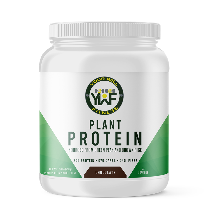 Plant Protein