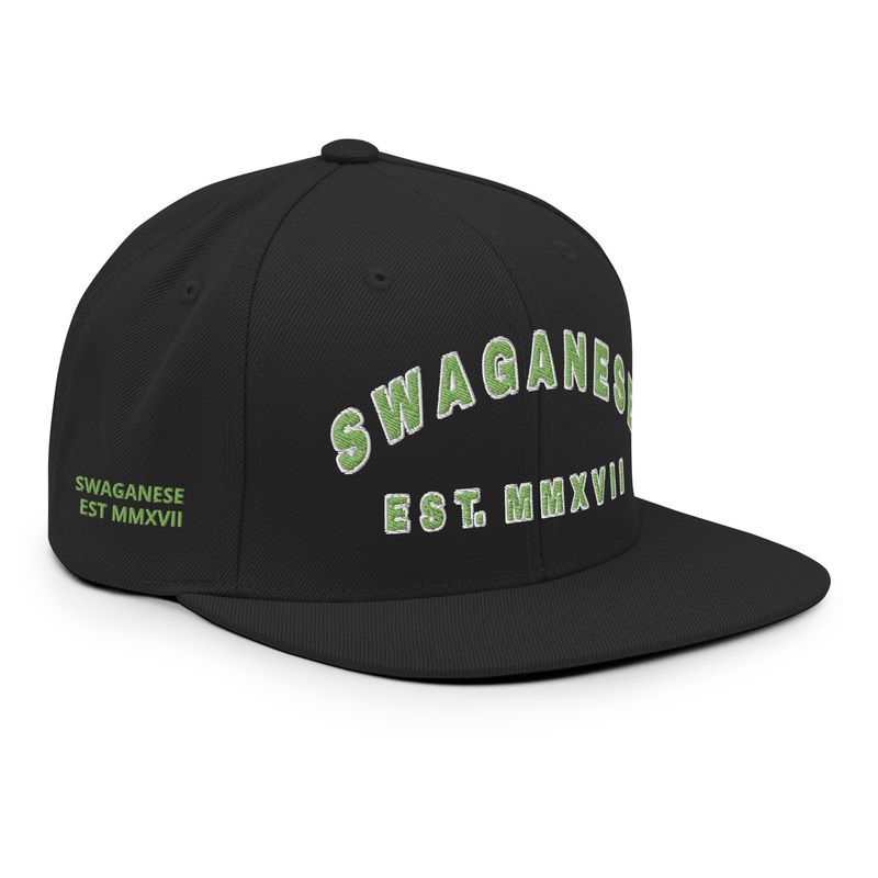 Fresh Drip Snapback Hat