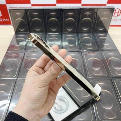Apple iPhone 12 Pro Max