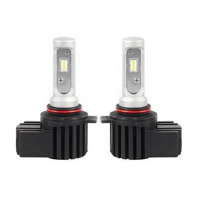 Bulbs & Assemblies
