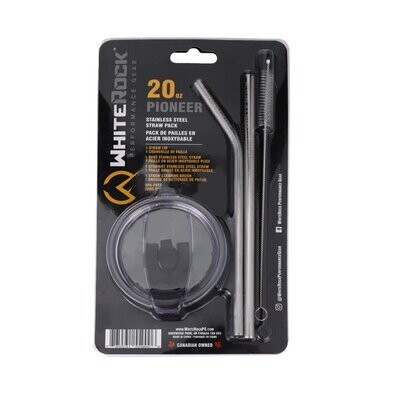 Stainless Steel Straw Pack