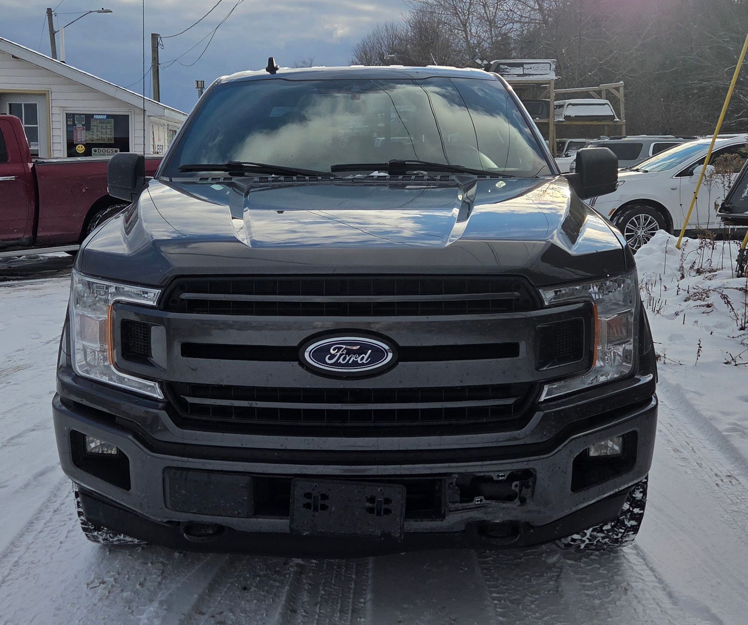 2019 Ford F-150 XLT's photo