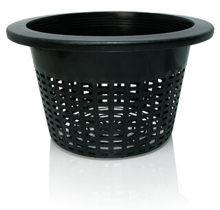 Wide Lip Bucket Basket (Bag of 50)