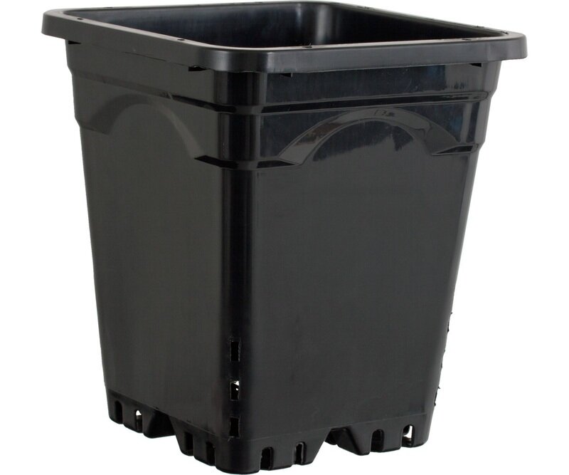 12 12"x12" Square Black Pot 12" Tall, 24 per case