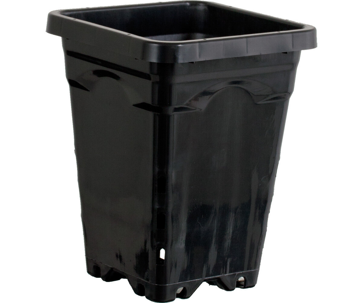 5"x 5" Square Black Pot 7" Tall CS (100pc)