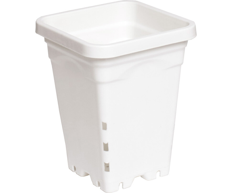 5"x 5" Square White Pot, 7" Tall CS (100pc)