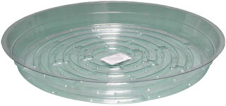 Clear 10 inch Saucer, pack of 25