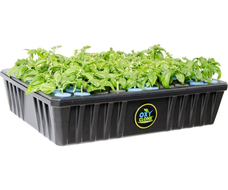 OxyCLONE 80 Site System