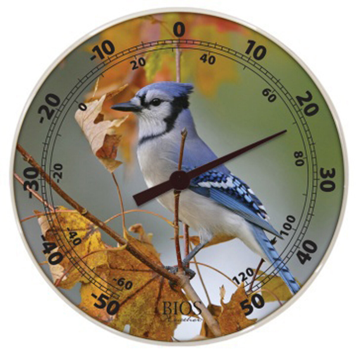 12" Dial Thermometer Bluejay