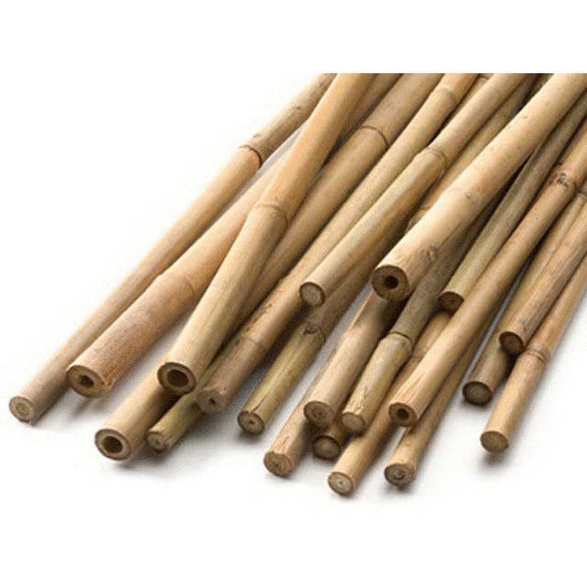 Natural Bamboo Bulk 12 Foot  24-26Mm  50pc Bale