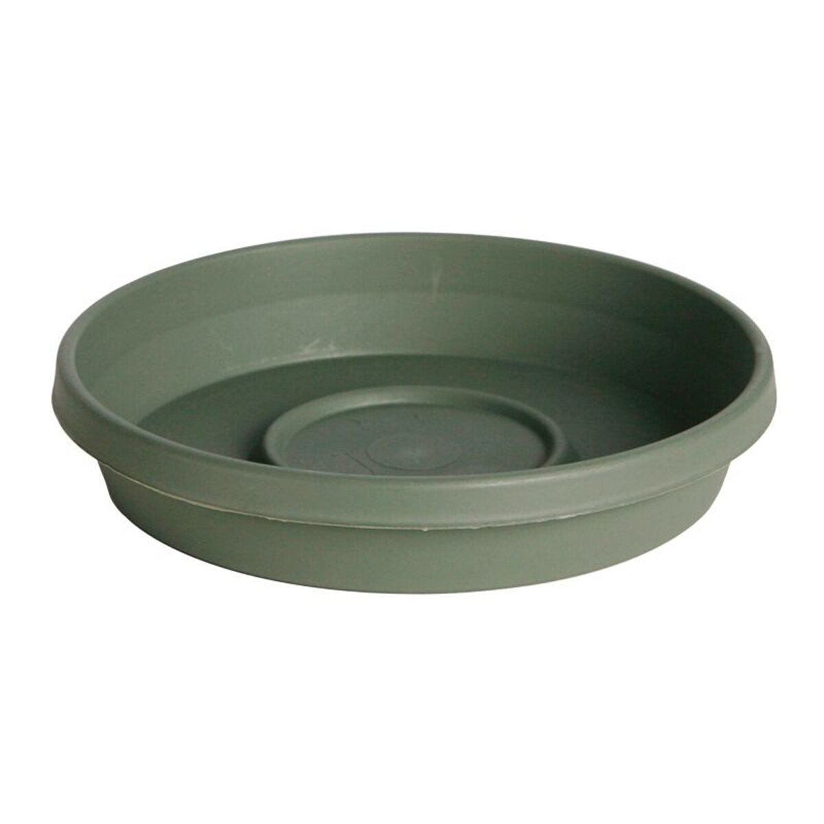 24"  Terra Living Green Saucer