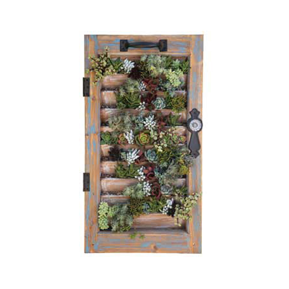 Succulent Window Shutter - 16" X 28"
