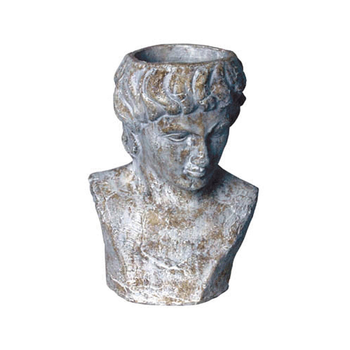 Caesar  - 11" X 7"