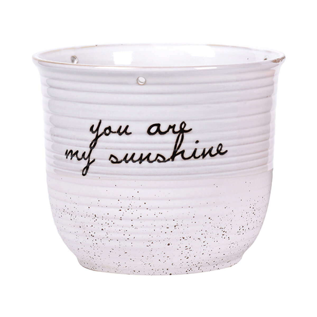 Patricia 6.5" Flower Pot