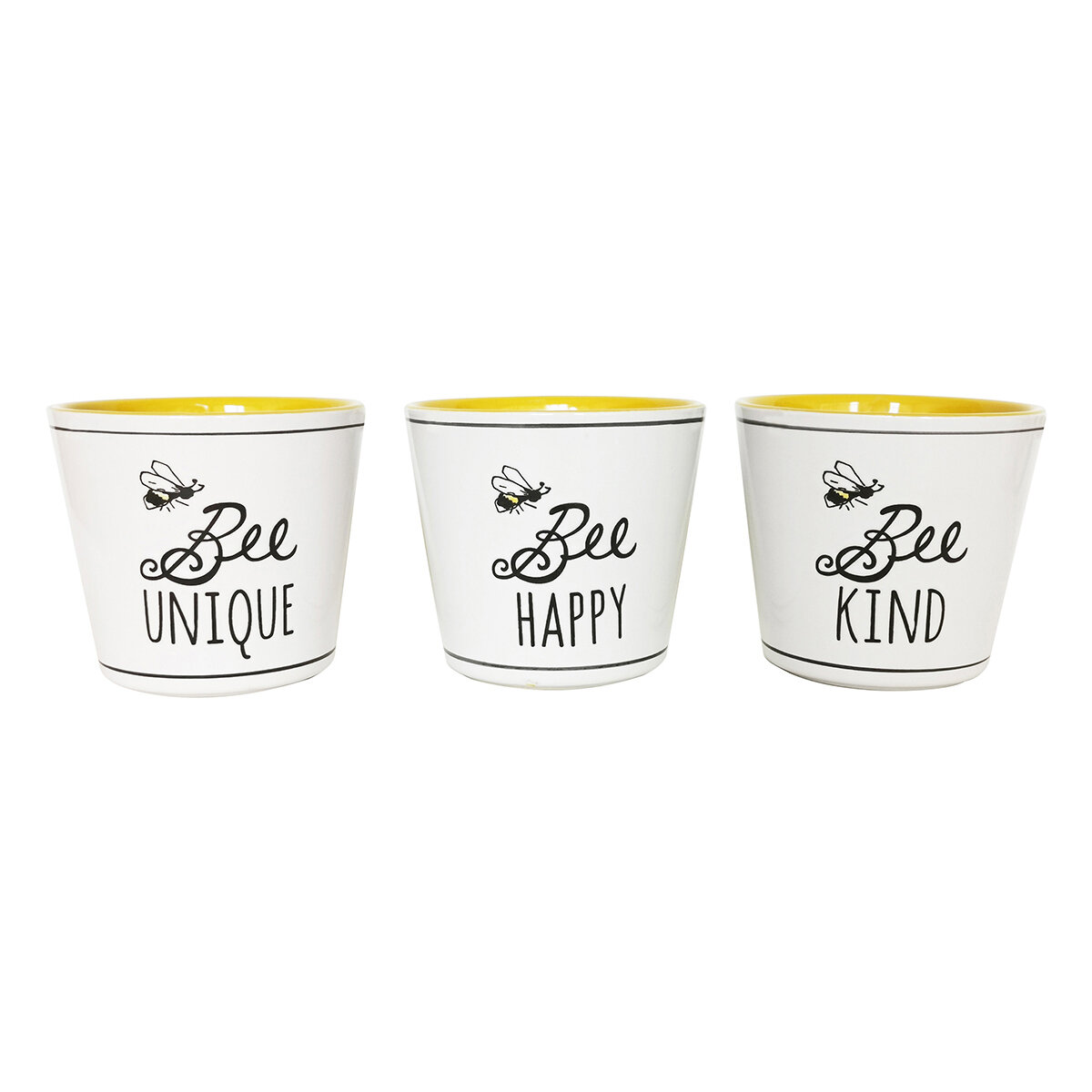 Bee Buzz Planters 5'', 3 Asst Colorus