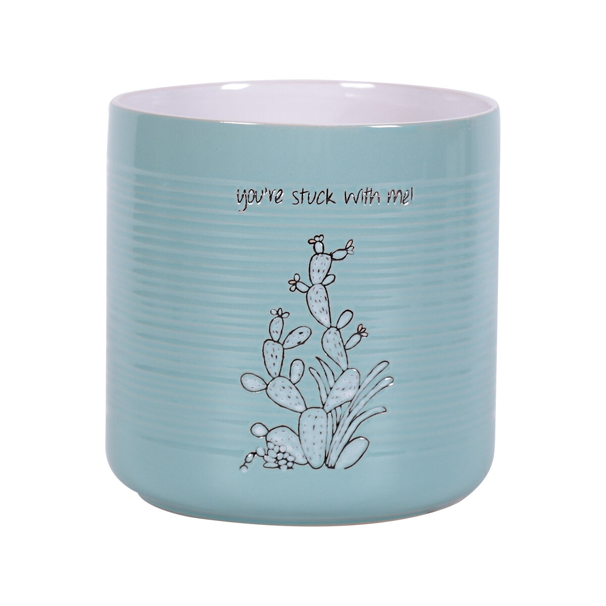 Sanora Cactus 6.5''  Flower Pot