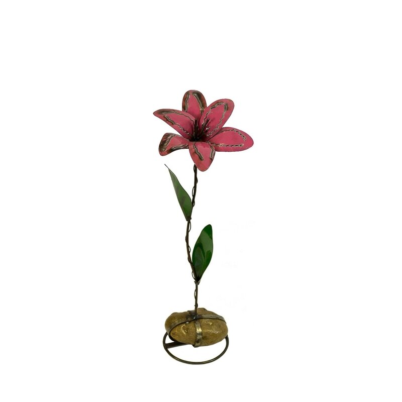 Lilys On Rock